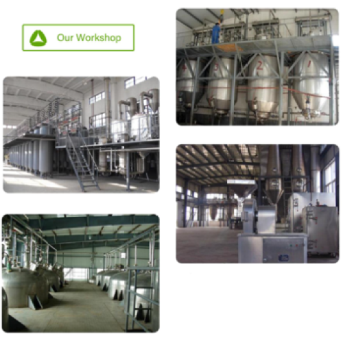 Dehydrated Asparagus Extract Dehydrated Asparagus Powder Freeze Dried Plant Extract Factory