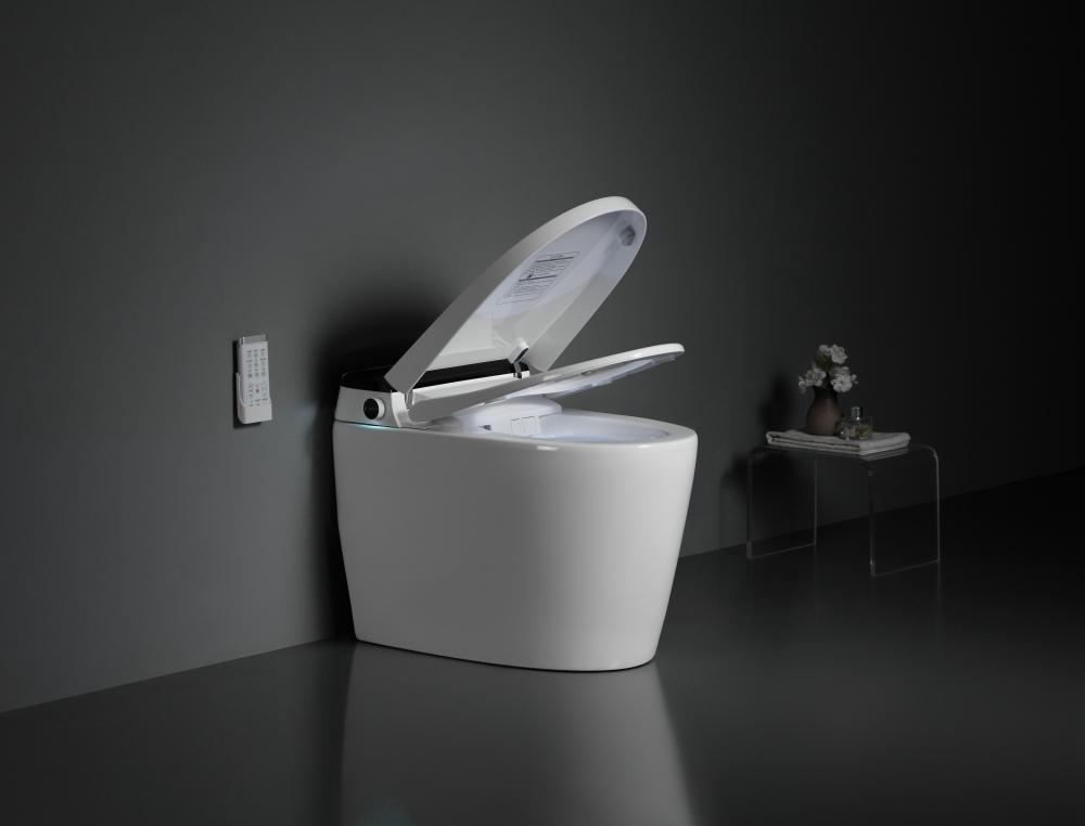 8305a 2smart Toilet