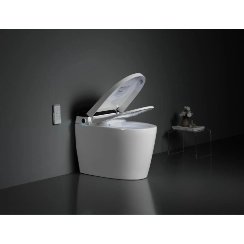 El lavado automático inodoro bidet con agua caliente - China Bidé  electrónico, bidé