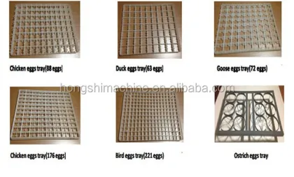 Medium-Sized Incubator Eggs Incubator for Poultry Equipment