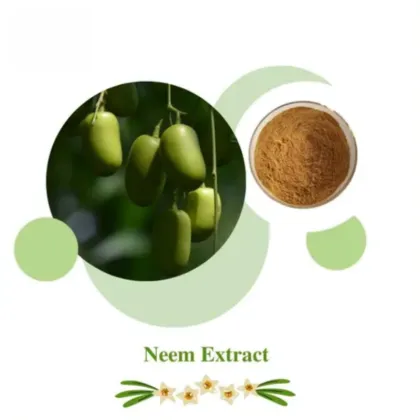 Organic Neem leaf powder Neem leaf extract Azadirachtin