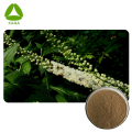 Natural Dong Quai Black Cohosh Extract Powder 10: 1