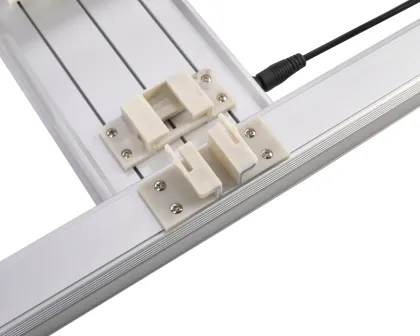 No Sun Indoor Plants GE Planting