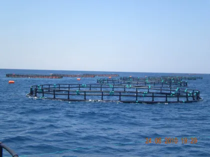HDPE Circular Trout Net Cages Tunisia Farms