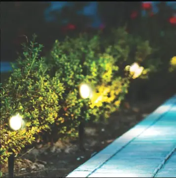 High Quality 12 Volt Outdoor LED Garden Pathway Lights for Landscaping