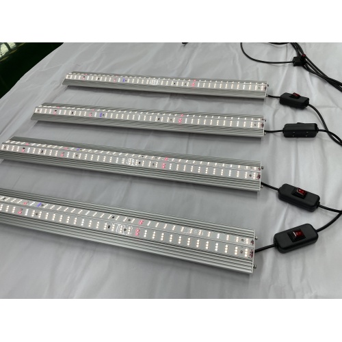 Éclairage LED pour les plantes en croissance à l'intérieur