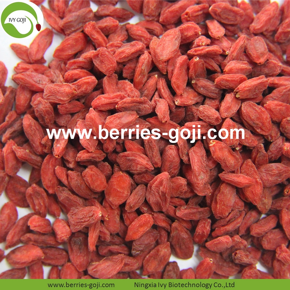 goji berry