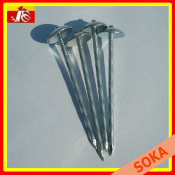 galvanized umbrella head roofing nail(factory)