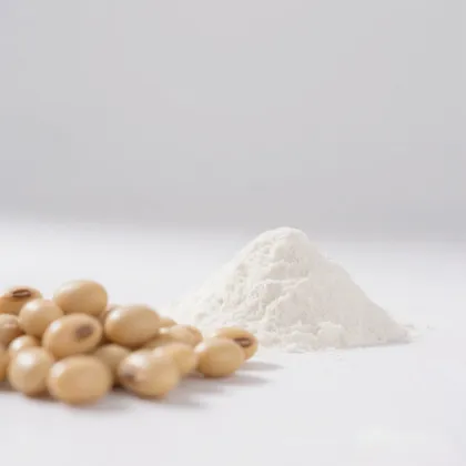 Nattokinase powder for sale