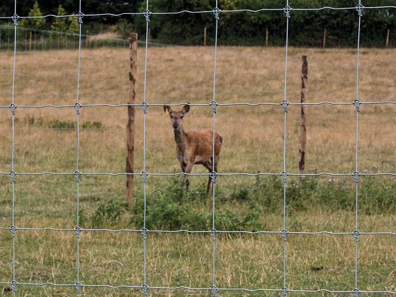 fixed-knot-field-fence