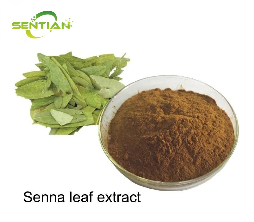 Senna Leaf Extract (1)
