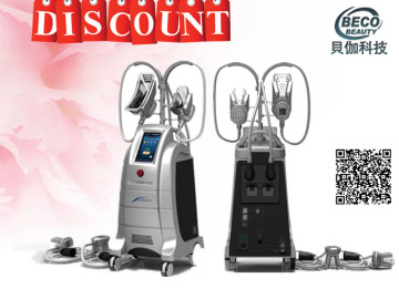 4 Handles Cryolipolysis Cryolipolysis Beauty Equipment (ETG50-4S)