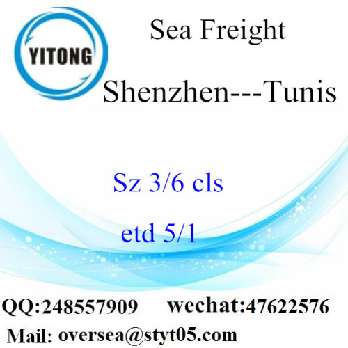 Shenzhen Port LCL Consolidation naar Tunis