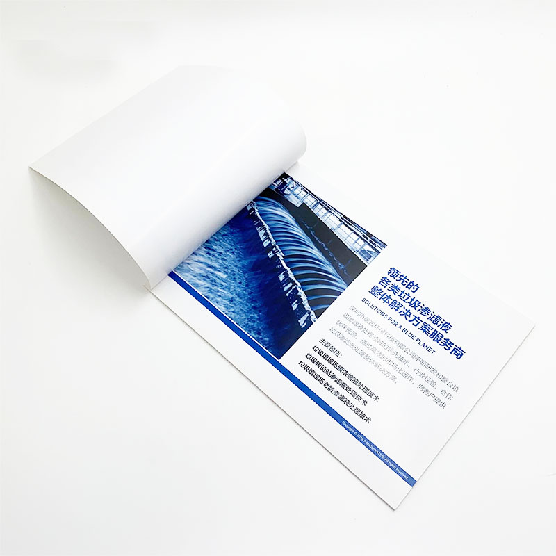 Enterprise introduction brochure customization