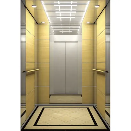 Best Quality Home Elevator Lift VVF Technology