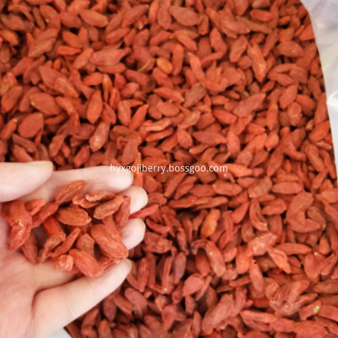 bulk goji