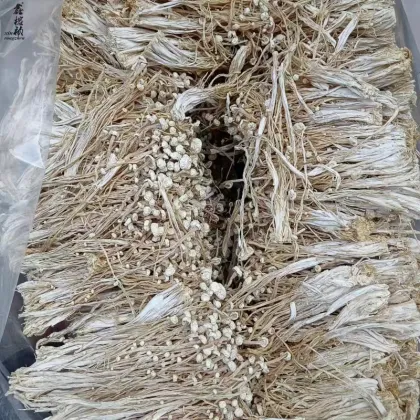 Wholesale Raw Pure Dry Enoki Mushroom Prices