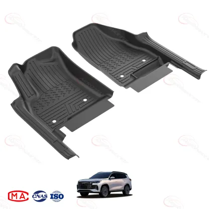 2017- Ebro S800 floor mats