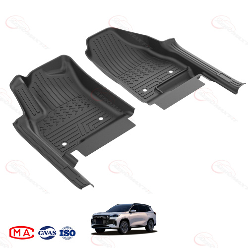 2017- Ebro S800 floor mats