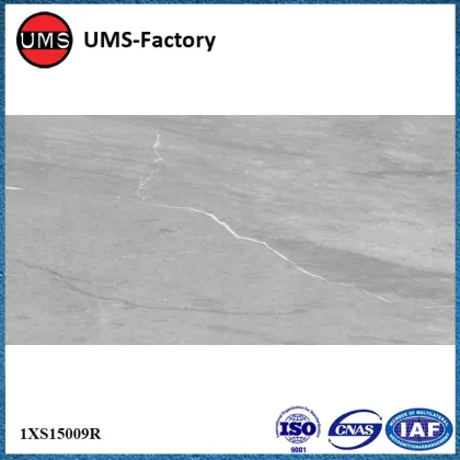 Digitally printed vitrified wall tiles