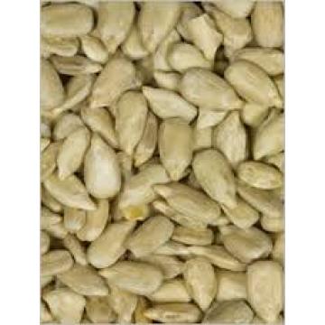 sunflower kernels bakery sunflower kernels peeled sunflower seeds