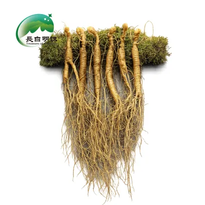 Pure Wild simulated ginseng