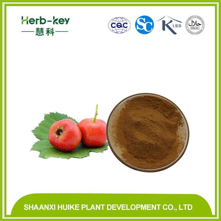 Hawthorne Leaf Extract Hawthorn Total Flavones Flavonoids