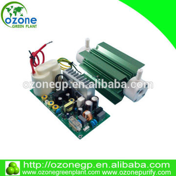 220v/110v 6G 8G 10G quartz ozone air purifier used in car