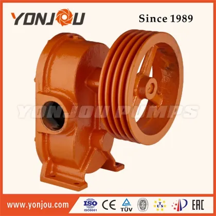 BP GC Light Weight Gear Oil Pump