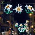 LED Flower Street Lighting