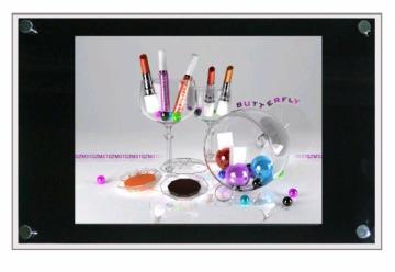 19 inch LCD advertising player