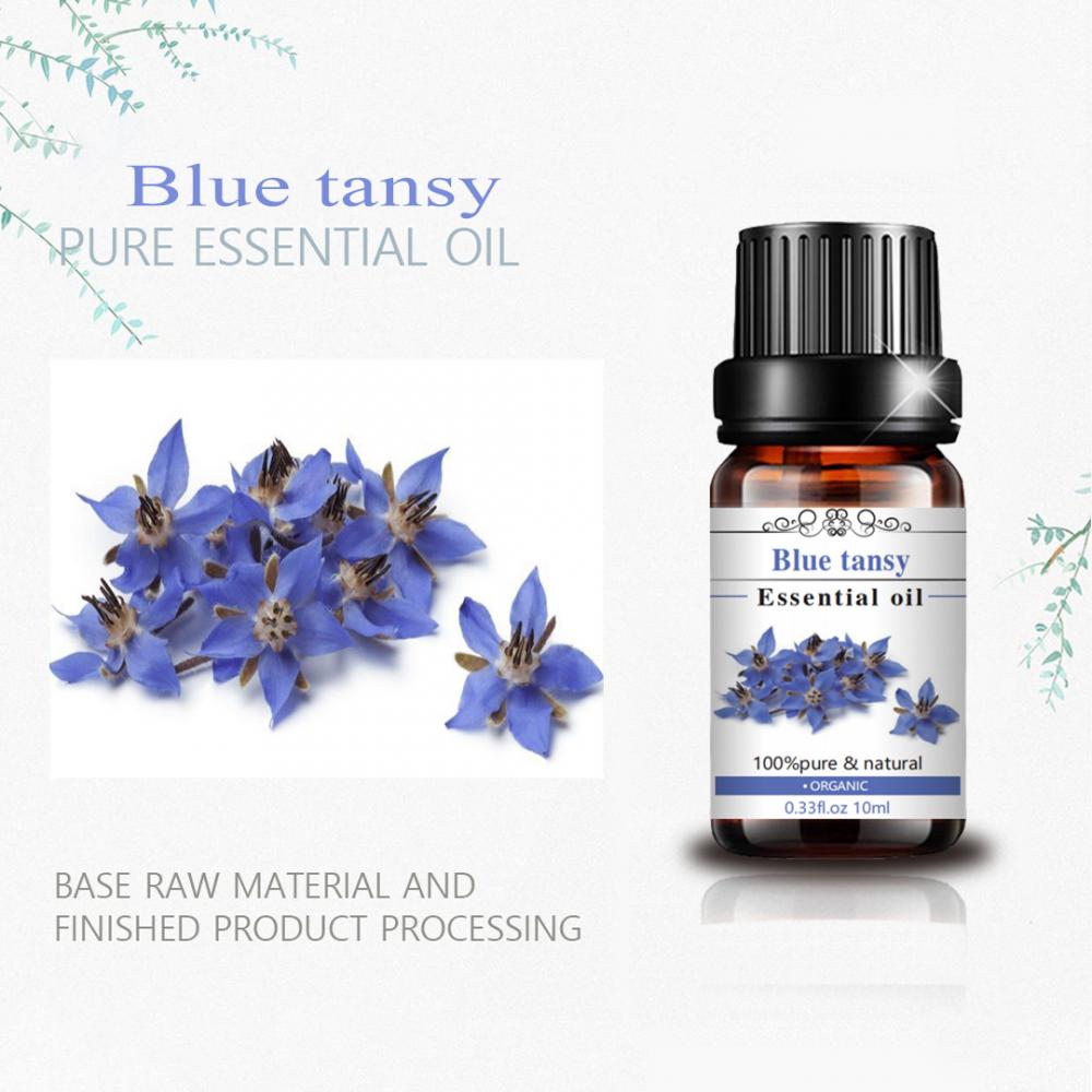 Aceite de tansy azul de alta calidad para el cuidado de la piel