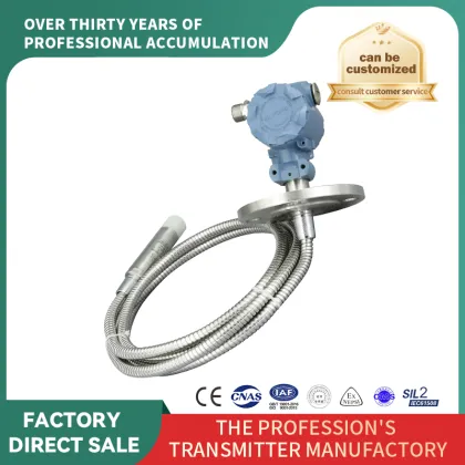 Level Transmitter: Flange Hose Type Input Level Gauge