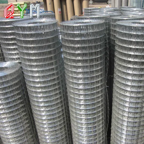 Electro Galvanized Welded Wire Mesh Roll for Garden Fence