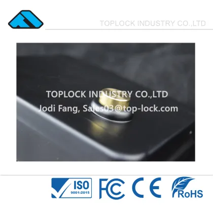 Electric Lock Gate 12V Electronic Rim Lock for Left Open Door