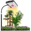 /msite/products/detail/productid/59421303/id/679434.html