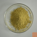 Extracto de skullcap baicalin 70%