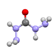 تفاعل الكربوهيدرازيد مع الماء