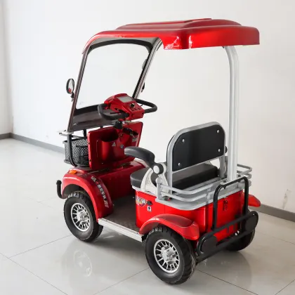 Battery Powered Electric Passenger Car