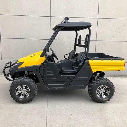 800cc 4x4 Dune Buggy/UTV