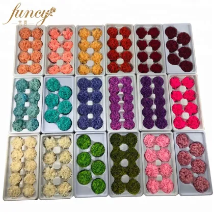 FuncyFlora Wholesale: Natural Preserved Carnation Flowers