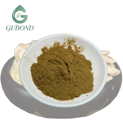 Astragalus Extract Powder for Dietary Supplements