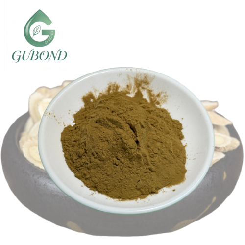 مسحوق مستخلص استراغالوس للمكملات الغذائية