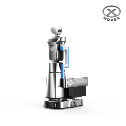 Bionic Dual-Arm Picking Robot with Advanced Vision