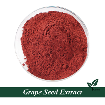 China Organic Grape Seeds Extract Powder Factory
