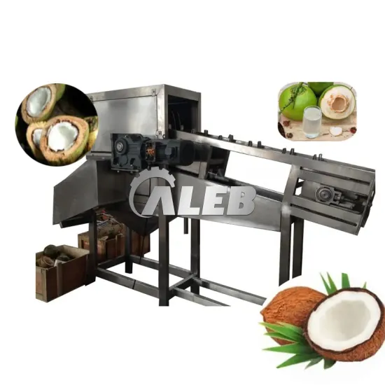 Stainless Steel Coconut Crushing Water Extractor: Your Ultimate Guide and Search Resource