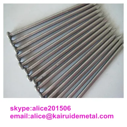 Iron Material Nail Common Iron Nail