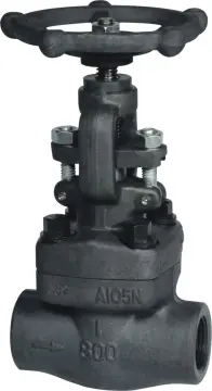 API 602 Forged Steel Globe Valve