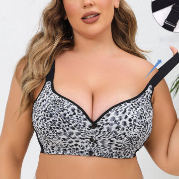 Factory Direct Wholesale: Sexy Leopard Print Push-up Bra - Women's Underwire Seamless Undergarments
