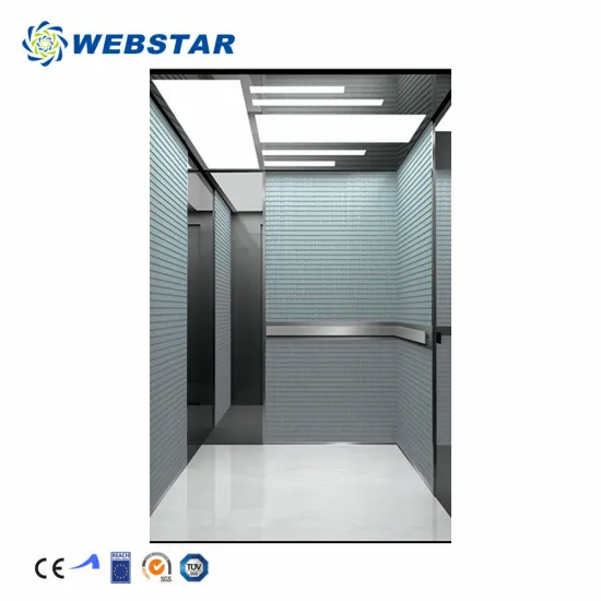 Quality Passenger Elevator and Lift Manufacturing Factory